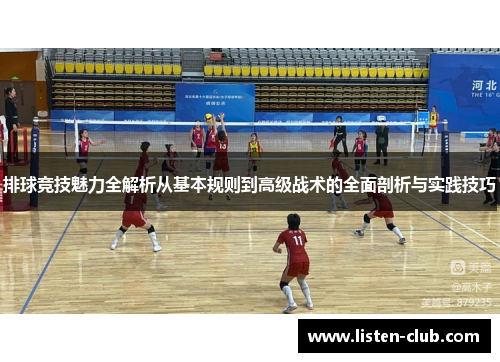 排球竞技魅力全解析从基本规则到高级战术的全面剖析与实践技巧